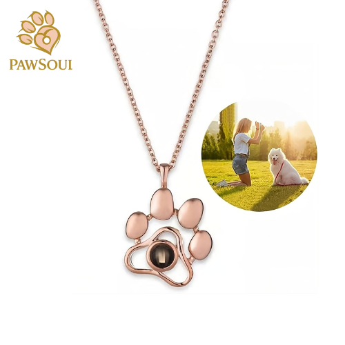 Collar PawSoul