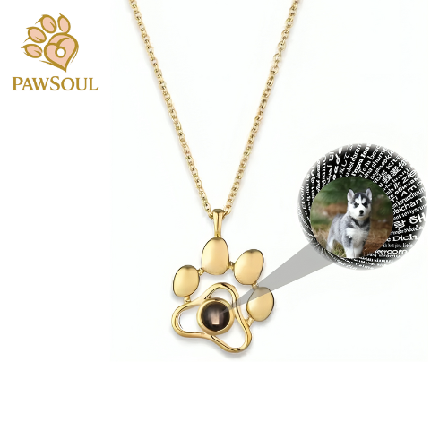 Collar PawSoul