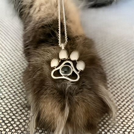 Collar PawSoul